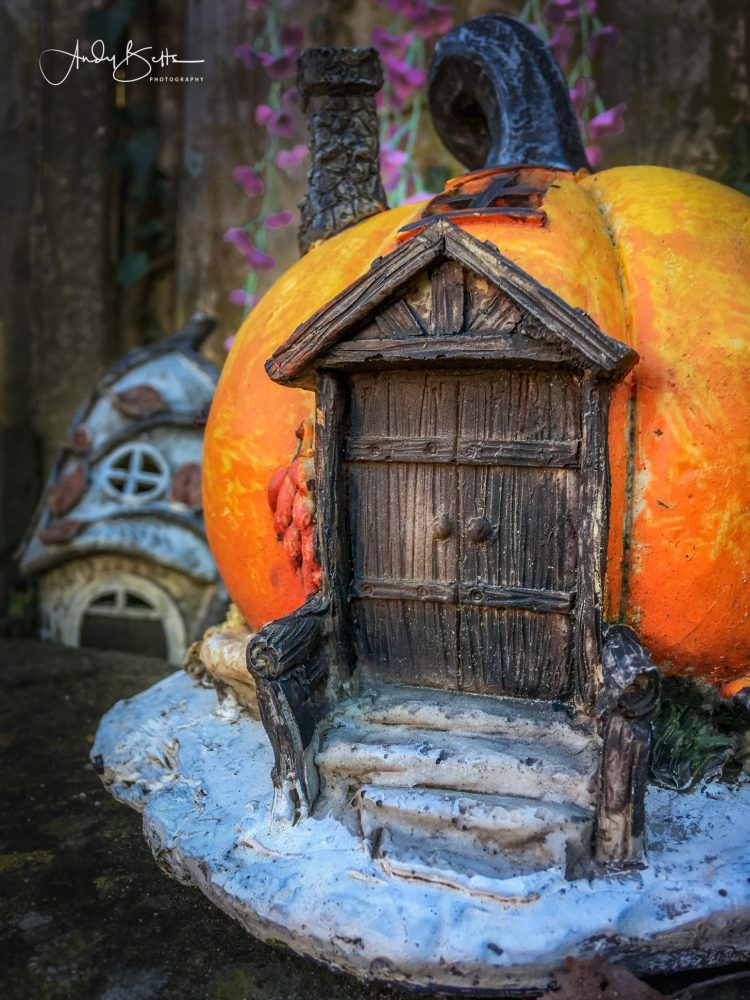 Project 51 Week 1 Image