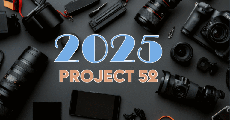 Project 52 for 2025 graphic