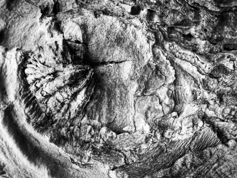 Project52 Wk05 Image